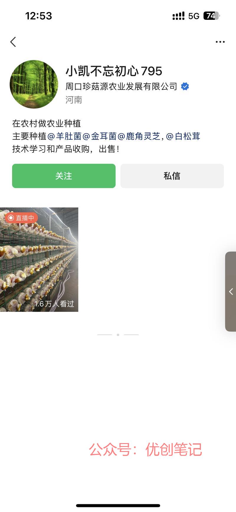 鹿角灵芝种植和回收，利…#情报-搞钱线报📢论坛-网创交流-优创圈